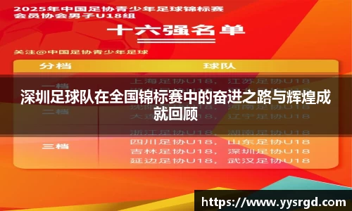 深圳足球队在全国锦标赛中的奋进之路与辉煌成就回顾