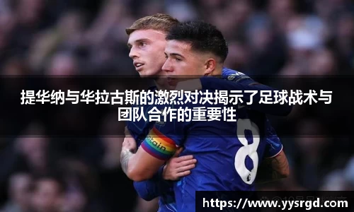 VSport - 胜利因您更精彩